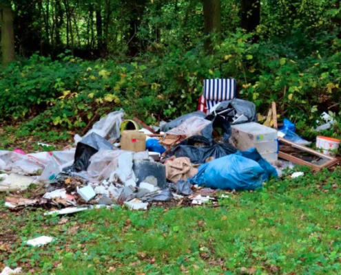 Im Januar entsorgt ein Tunesier in Obernau LU diversen Abfall wie Schulhefte, Medis und Möbel im Wald. Dafür muss er nun teuer bezahlen.