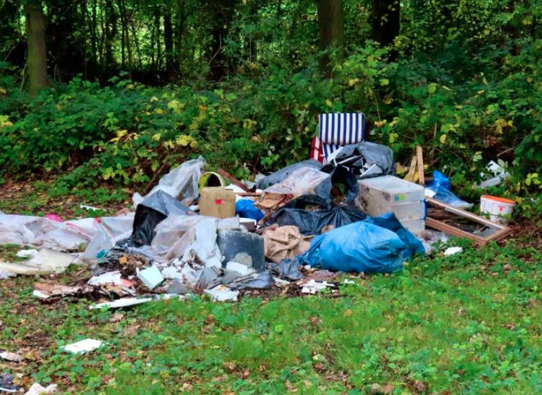 Im Januar entsorgt ein Tunesier in Obernau LU diversen Abfall wie Schulhefte, Medis und Möbel im Wald. Dafür muss er nun teuer bezahlen.