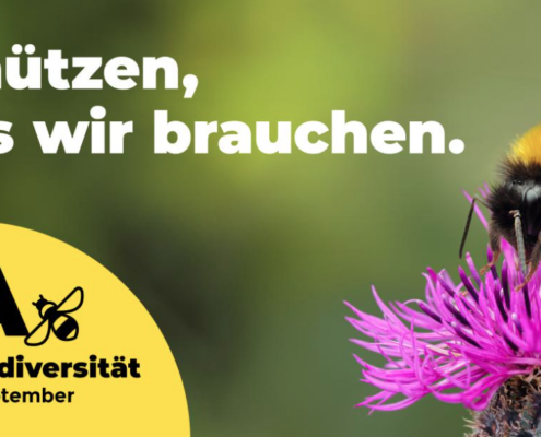 Sieg für UMWELTMINISTER Rösti: Deutliches Nein zur Biodiversitätsinitiative