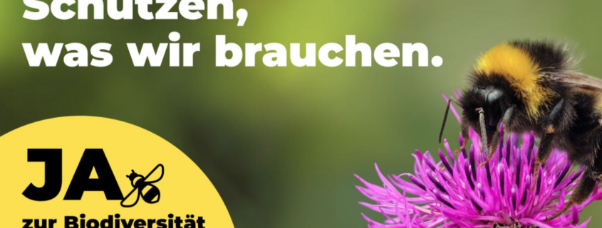 Sieg für UMWELTMINISTER Rösti: Deutliches Nein zur Biodiversitätsinitiative