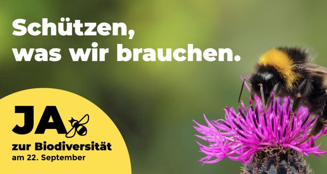 Sieg für UMWELTMINISTER Rösti: Deutliches Nein zur Biodiversitätsinitiative